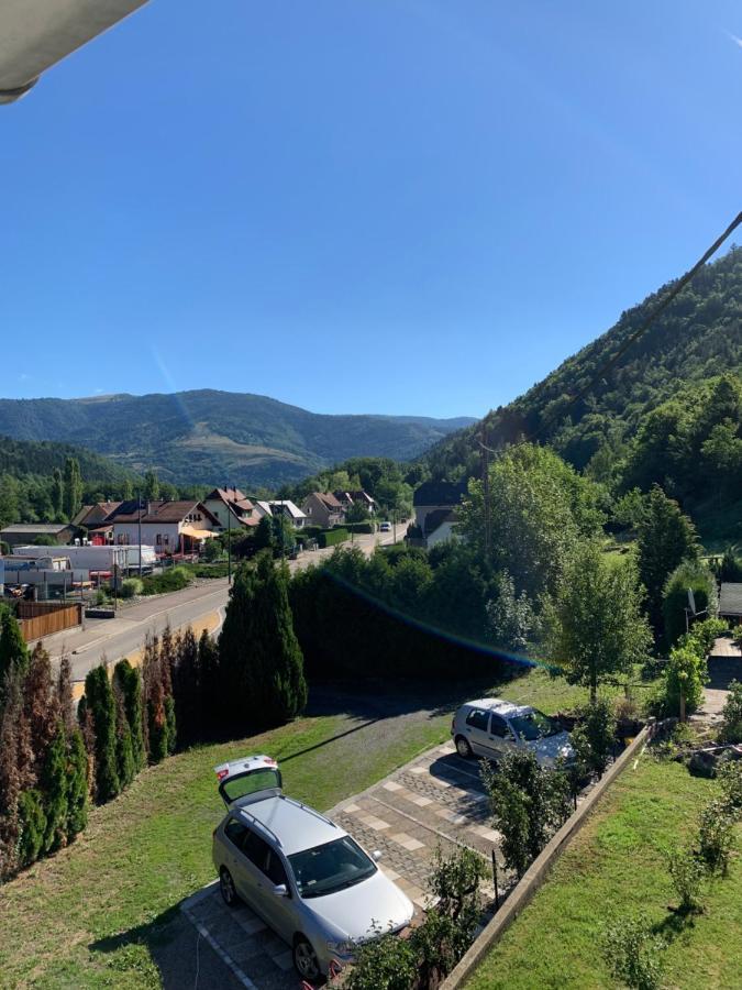 Chalet Rustique, 3Pieces, Jusqu'A 6 Personnes Urbès Eksteriør bilde
