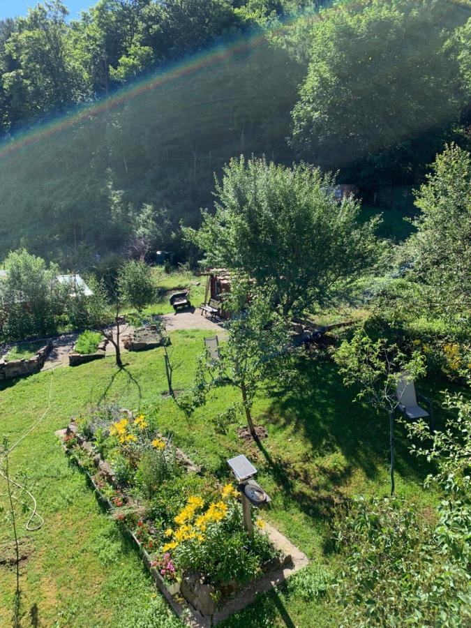 Chalet Rustique, 3Pieces, Jusqu'A 6 Personnes Urbès Eksteriør bilde